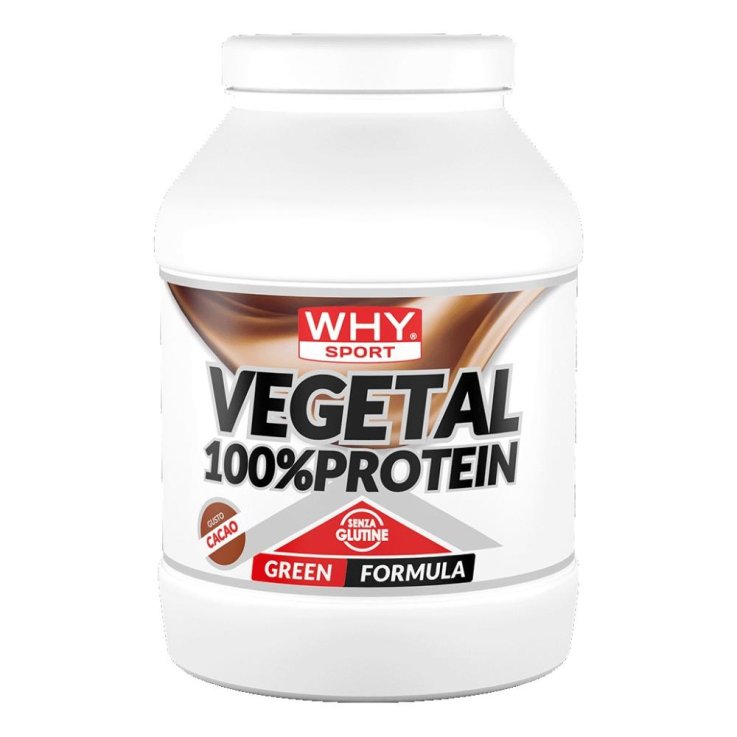 100% VEGETAL PROTEIN CACAO750G