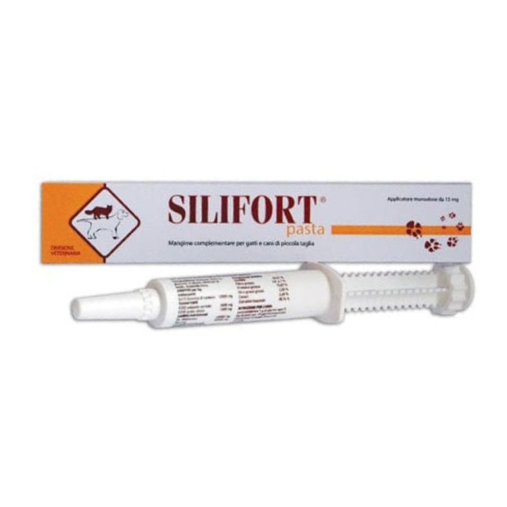 SILIFORT PASTA OS SIRINGA 30G SILIFORT PASTA OS SIRINGA 30G