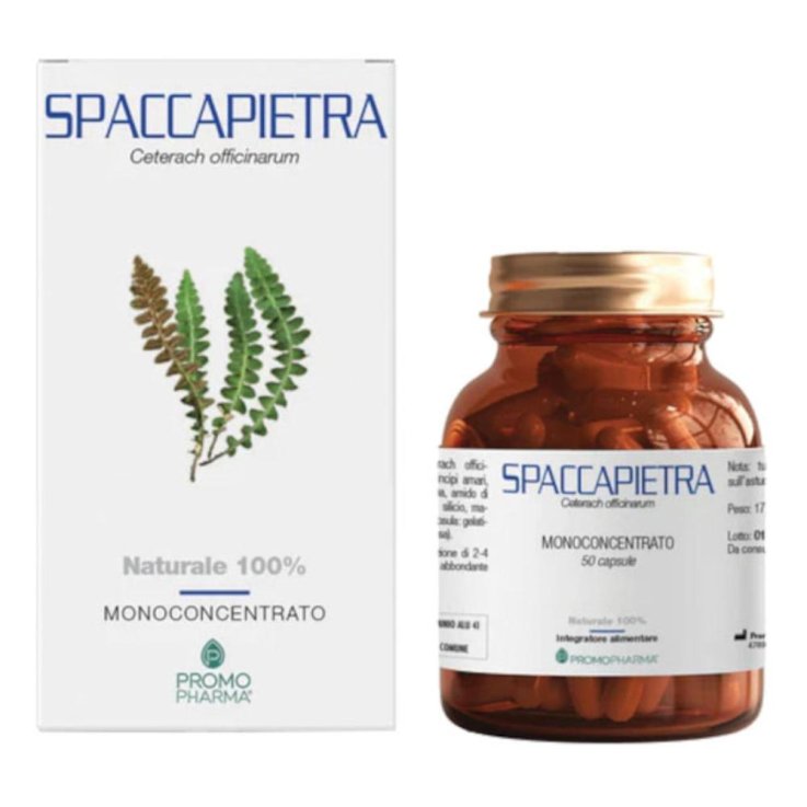 SPACCAPIETRA 50CPS