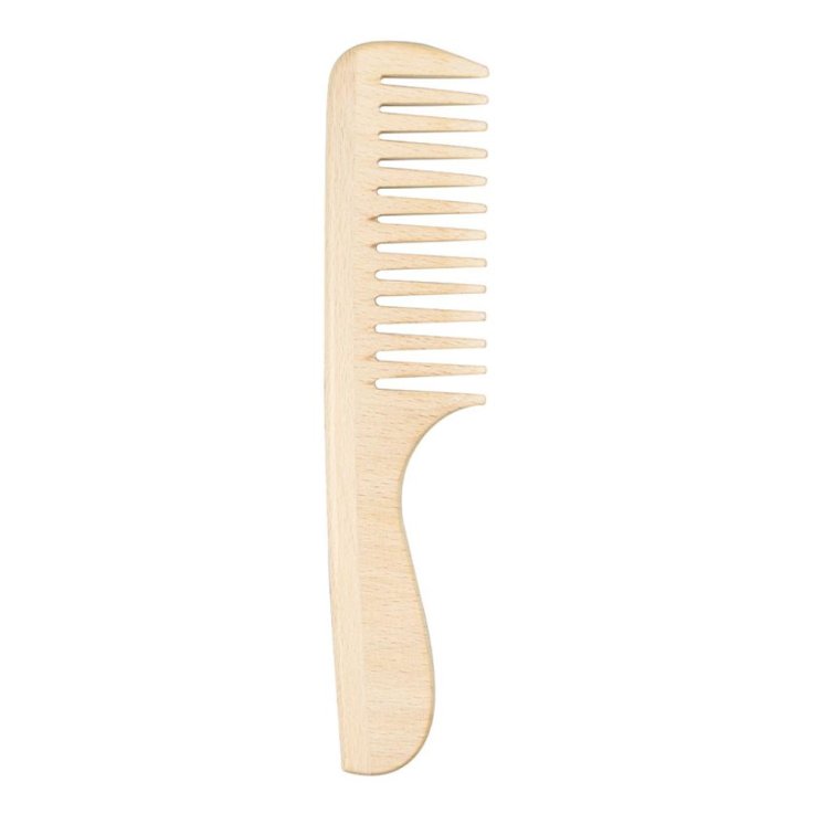 PETTINE LEGNO MANICO GRANDE