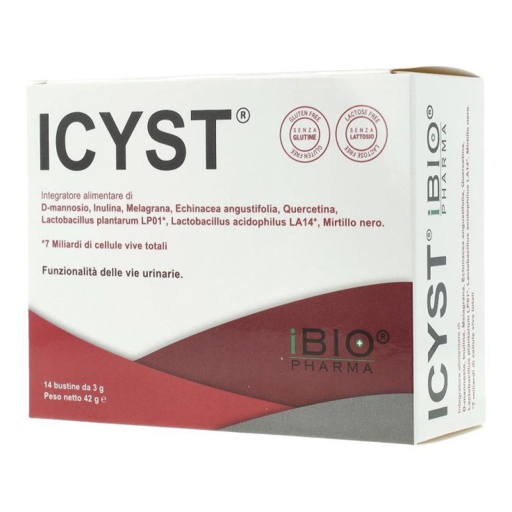 ICYST 14BUST