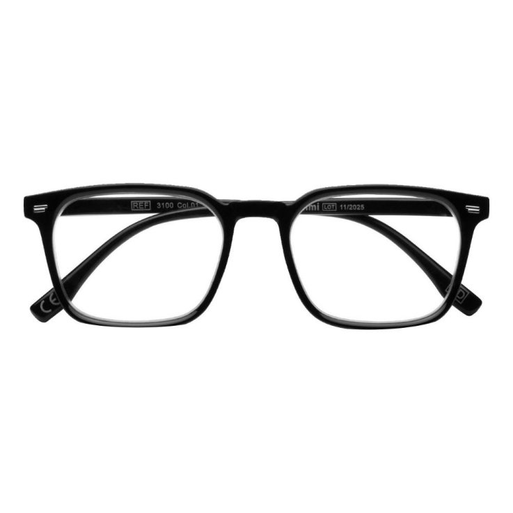 UTILISSIMI 3100 C 01 D +2,5