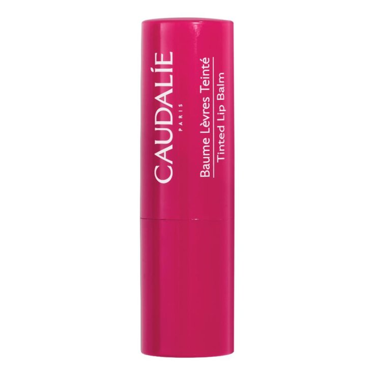 CAUDALIE BALSAMO LAB COL 4,5G