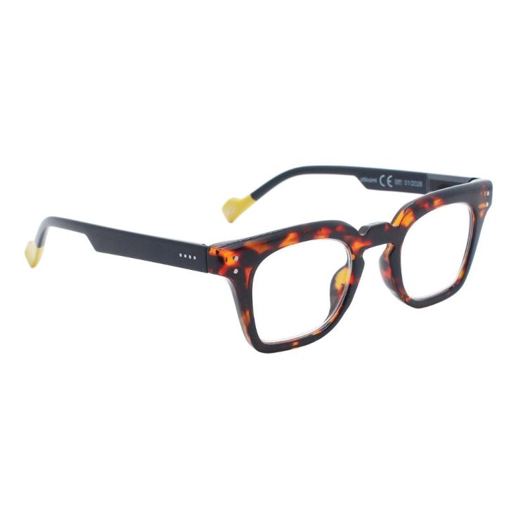 UTILISSIMI 0167 C14 D+2,5