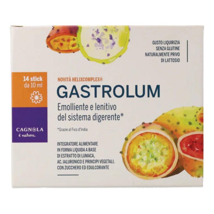 GASTROLUM 14STK OS 10ML G/LIQUIR