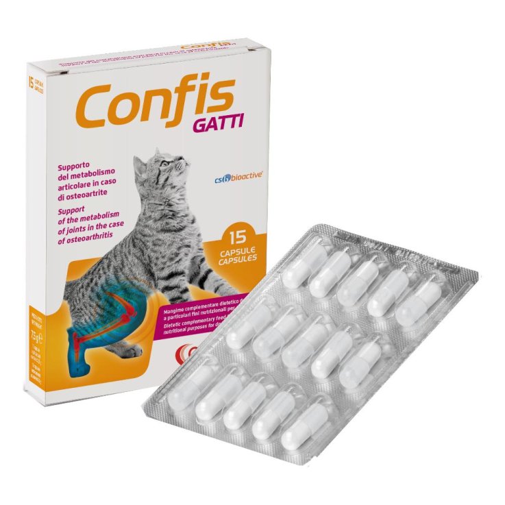 V CONFIS GATTI 15 CPS  APPET.