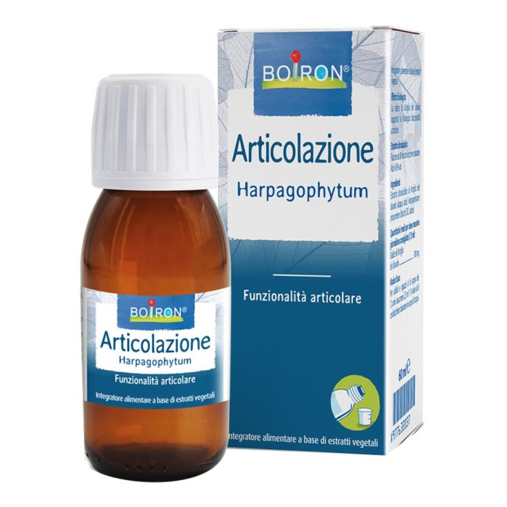 HARPAGOPHYTUM BOIRON EI 60ML