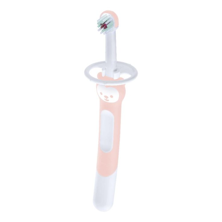 MAM TRAINING BRUSH 5+ FEMMINA