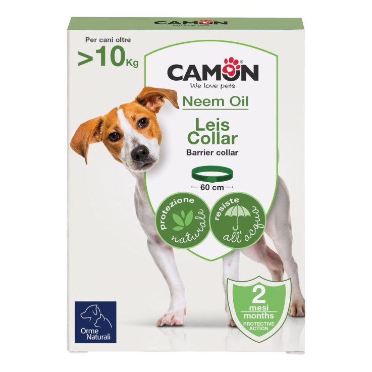 LEIS COLLARE BARRI CANE 60CM L