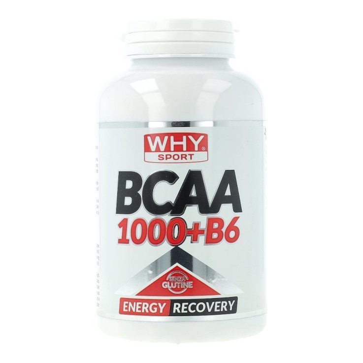 WHYSPORT BCAA 1000+B6 200CPR