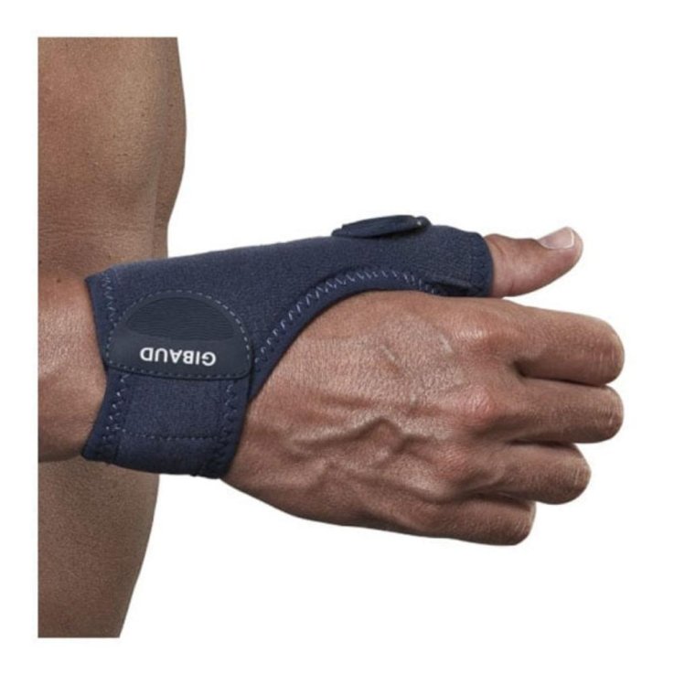 GIBAUD ORTHO RHIZOGIB ORT DX 1