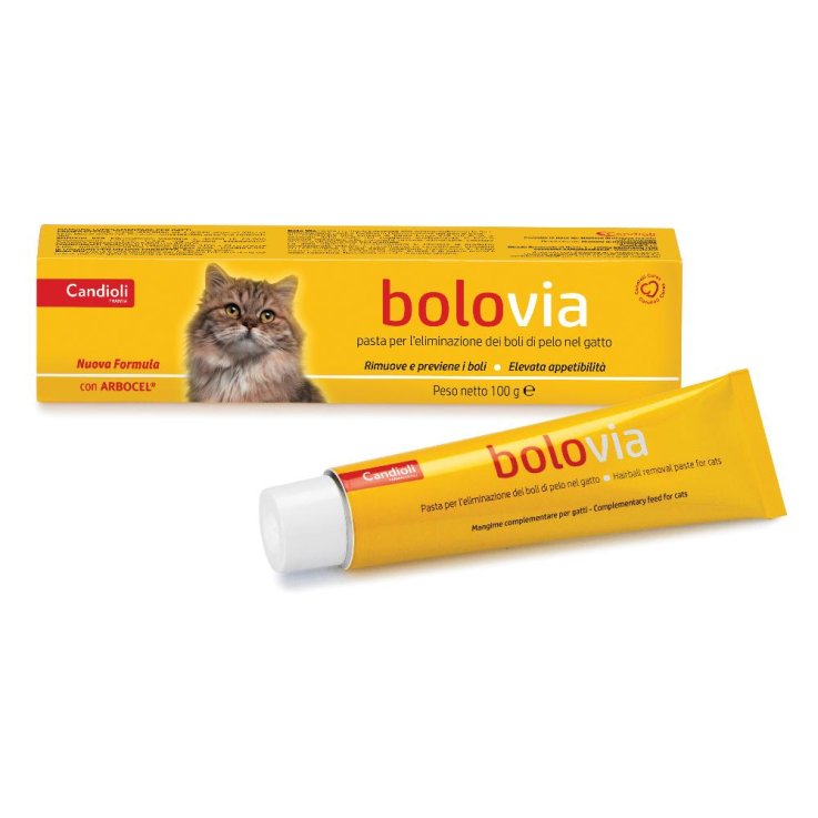 BOLO VIA PASTA GATTI 100G