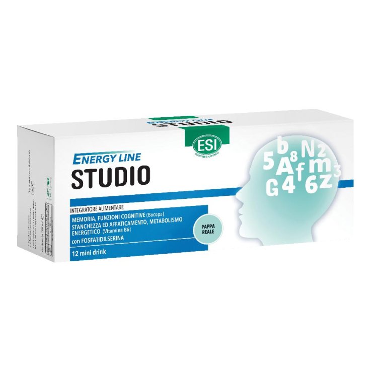 ESI GO UP STUDIO 12MINI