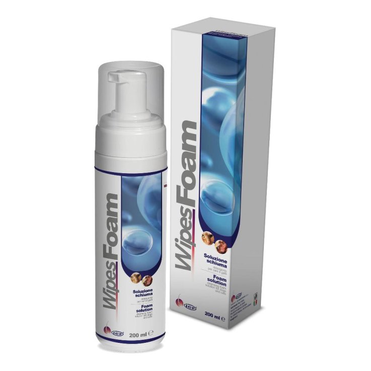 V WIPESFOAM SCHIU.DETERG/IGIENI