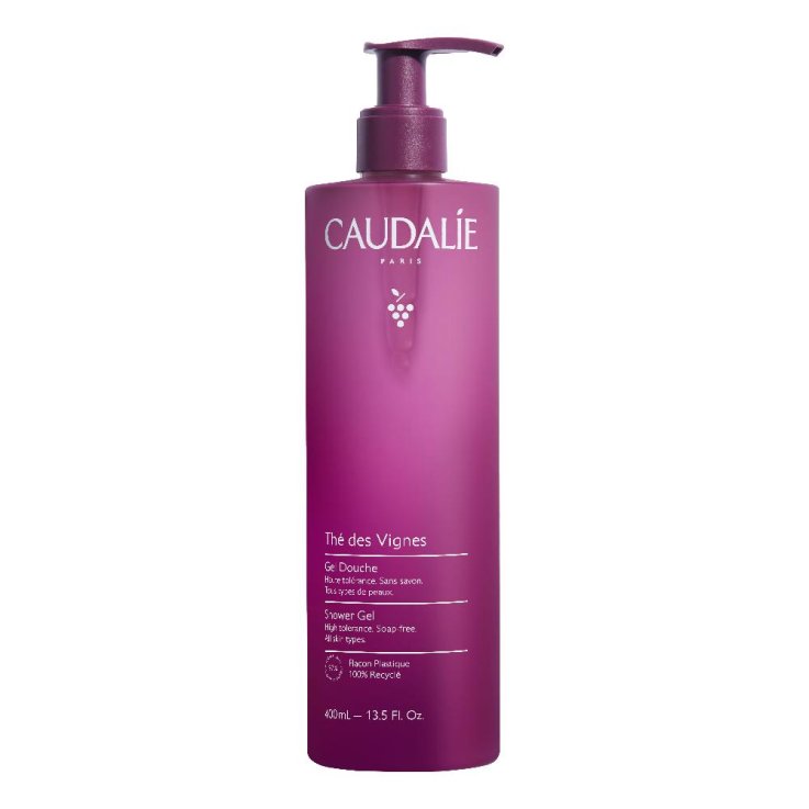 TDV GEL DOCCIA 400ML
