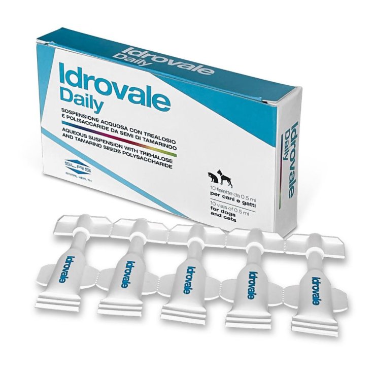 V IDROVALE DAILY 10F